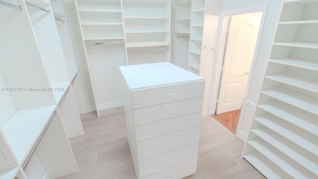 spacious closet with light wood-type flooring