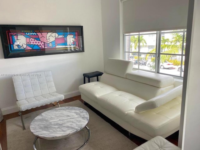 living room with hardwood / wood-style flooring