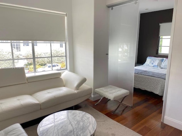 living room with hardwood / wood-style flooring and a wealth of natural light