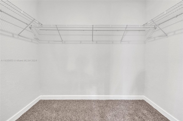 spacious closet with carpet