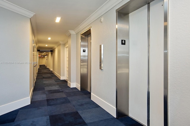 hall featuring elevator and ornamental molding