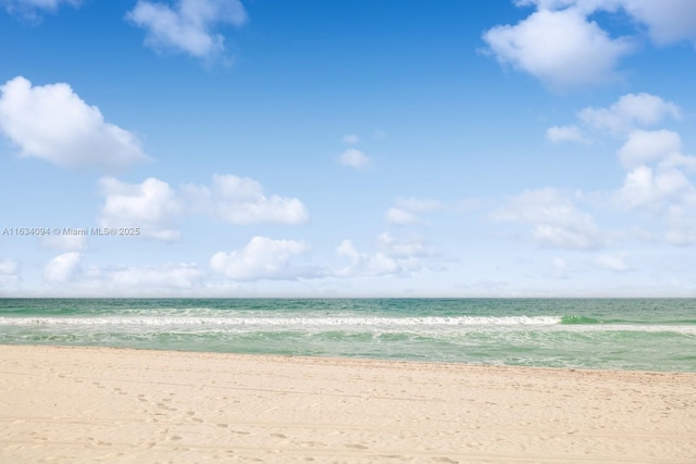 water view featuring a beach view