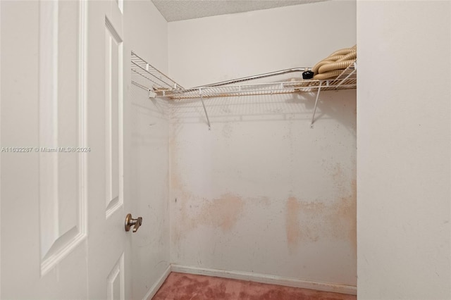 spacious closet with carpet