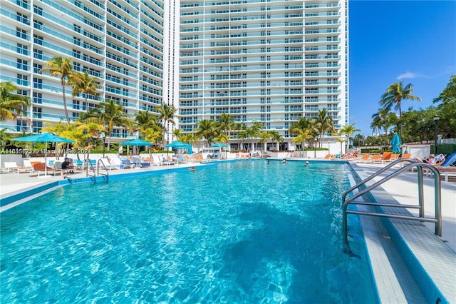 view of swimming pool