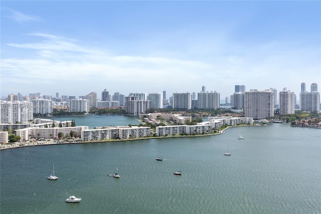 property view of water with a city view