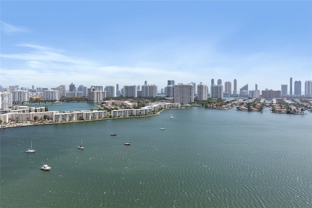 property view of water featuring a view of city