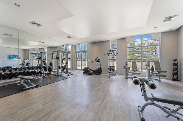 exercise room with expansive windows, a healthy amount of sunlight, and visible vents