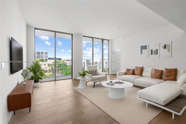 living room featuring expansive windows and light hardwood / wood-style flooring