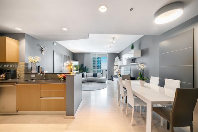 kitchen with dishwasher, rail lighting, sink, tasteful backsplash, and light brown cabinetry