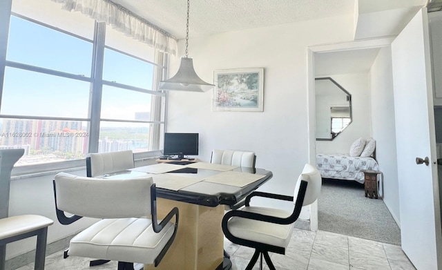 dining space with light carpet, a textured ceiling, and plenty of natural light