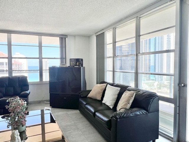 living room with a textured ceiling