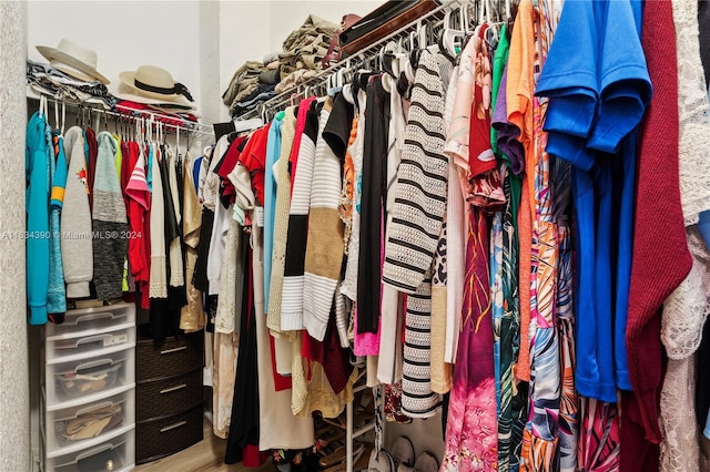 spacious closet with wood finished floors