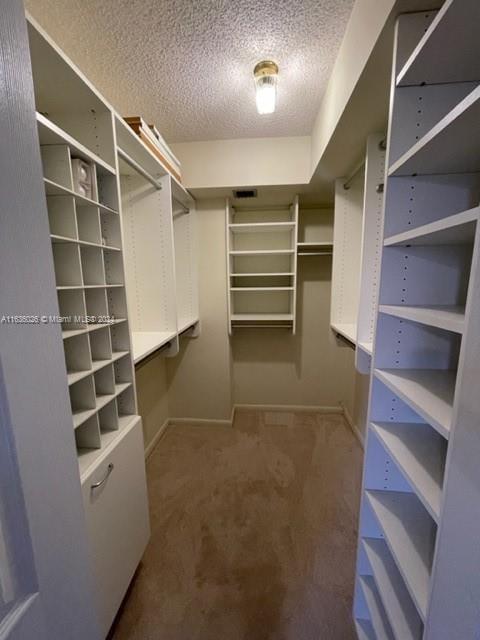 walk in closet featuring carpet flooring