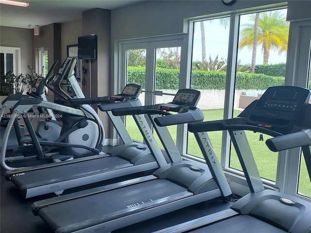 exercise room with a wealth of natural light