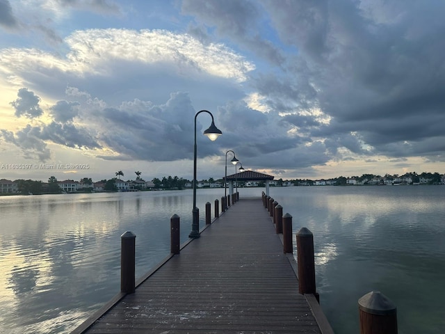 dock area featuring a water view