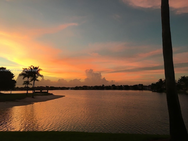 view of water feature