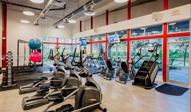 exercise room featuring a towering ceiling