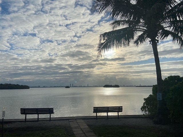 dock area with a water view