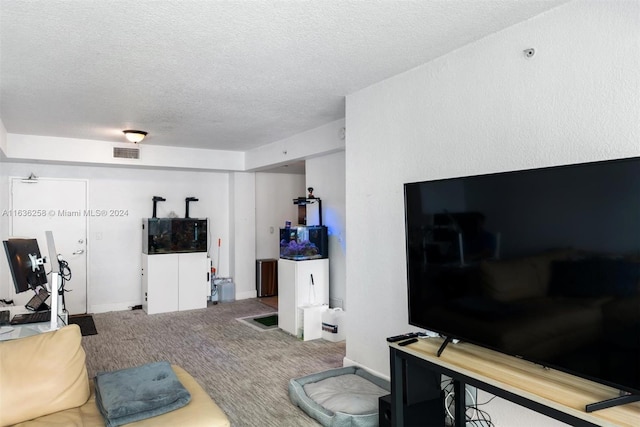 living room with a textured ceiling and carpet floors