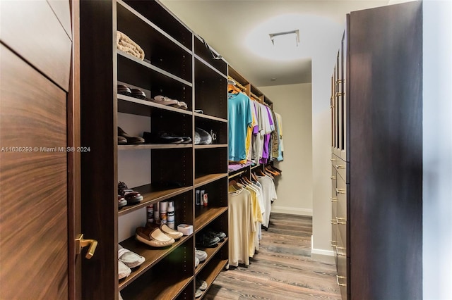 walk in closet featuring hardwood / wood-style floors