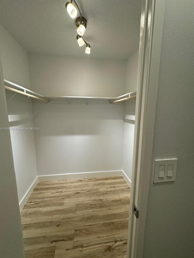 walk in closet featuring light hardwood / wood-style floors