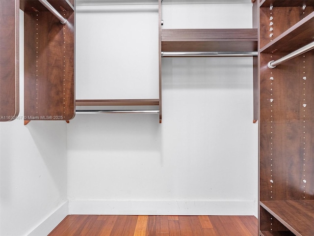 spacious closet with hardwood / wood-style flooring