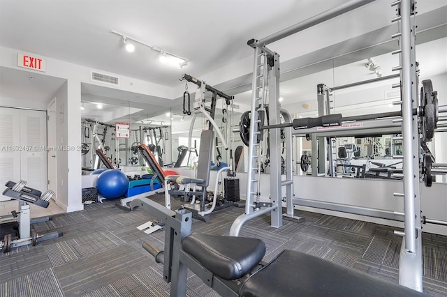 gym featuring carpet floors and rail lighting