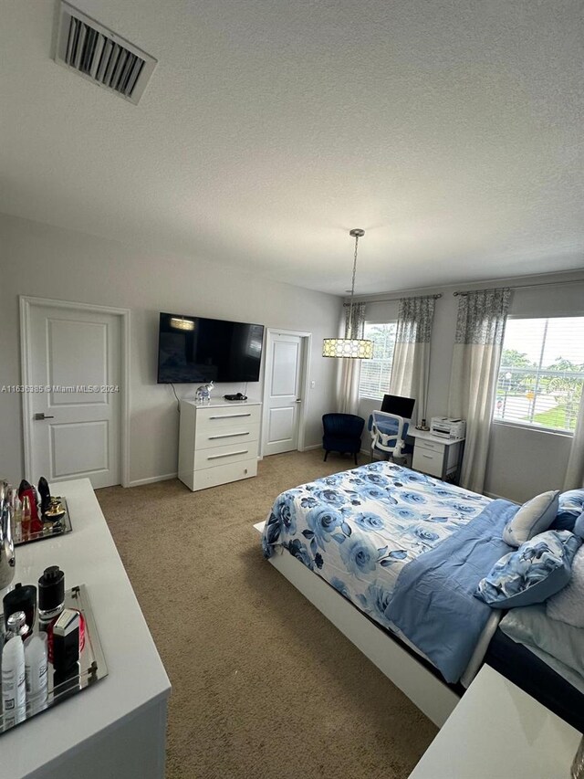 carpeted bedroom with a textured ceiling and multiple windows