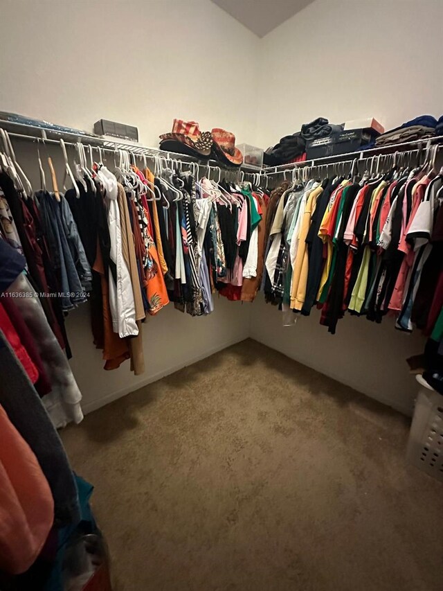 walk in closet featuring carpet floors