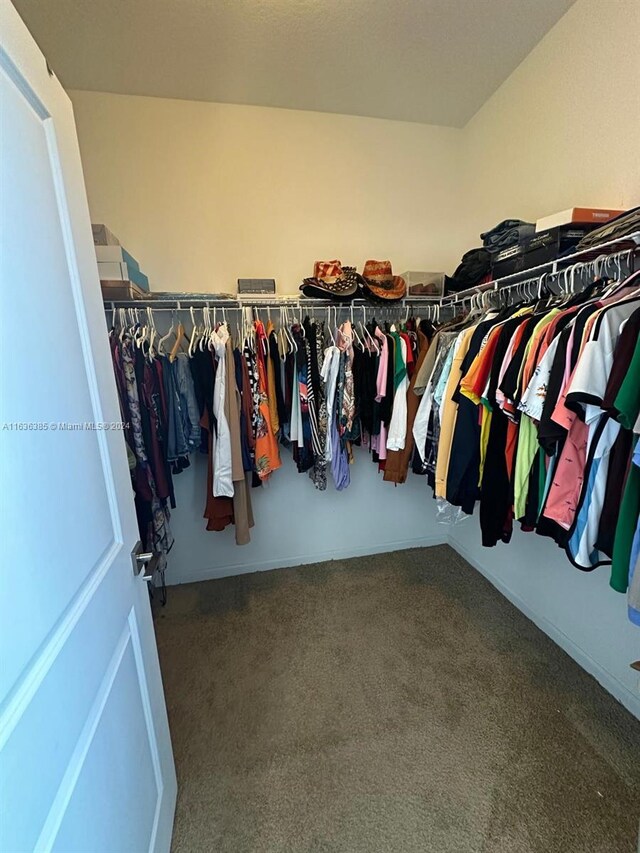 spacious closet featuring carpet floors