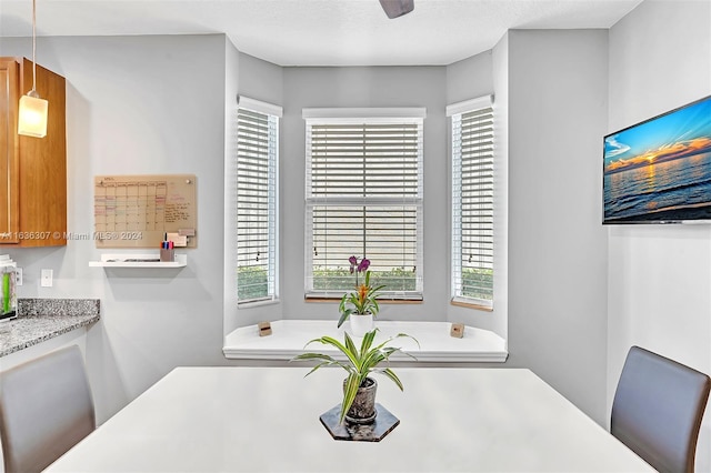 dining room featuring a textured ceiling and a healthy amount of sunlight