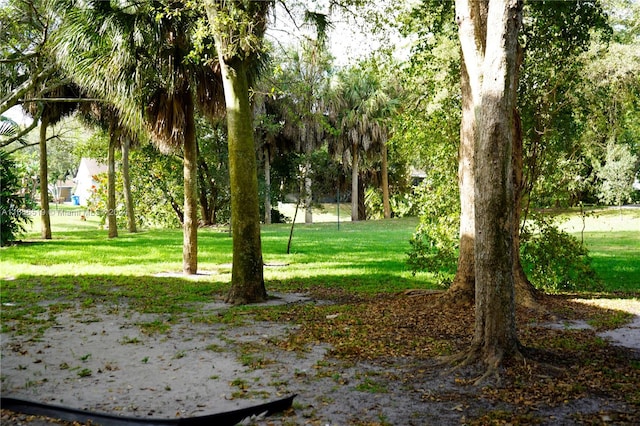 view of property's community featuring a yard