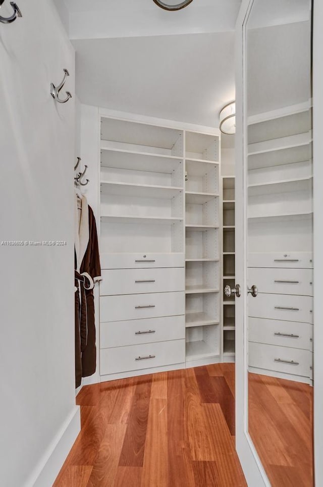 spacious closet with hardwood / wood-style floors