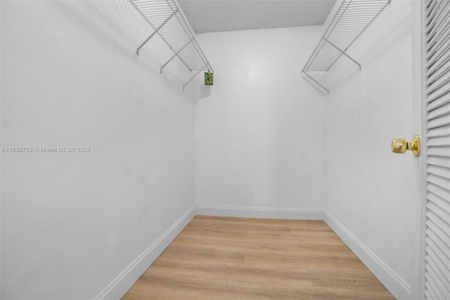 spacious closet with light hardwood / wood-style flooring