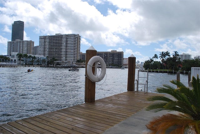 view of dock with a water view