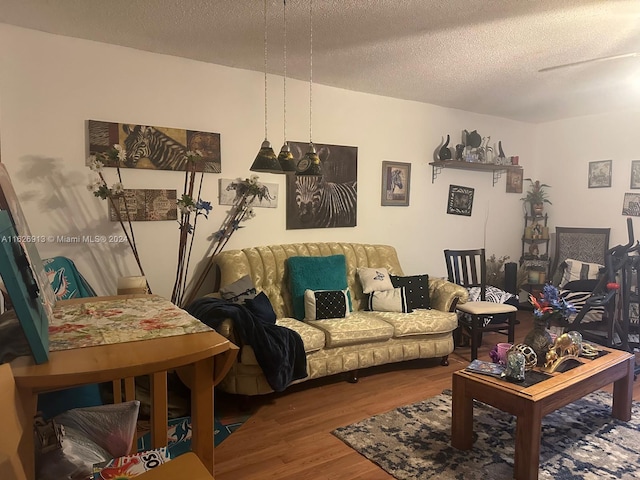 living room featuring wood-type flooring and a textured ceiling