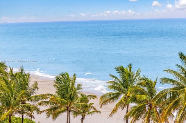 water view featuring a beach view