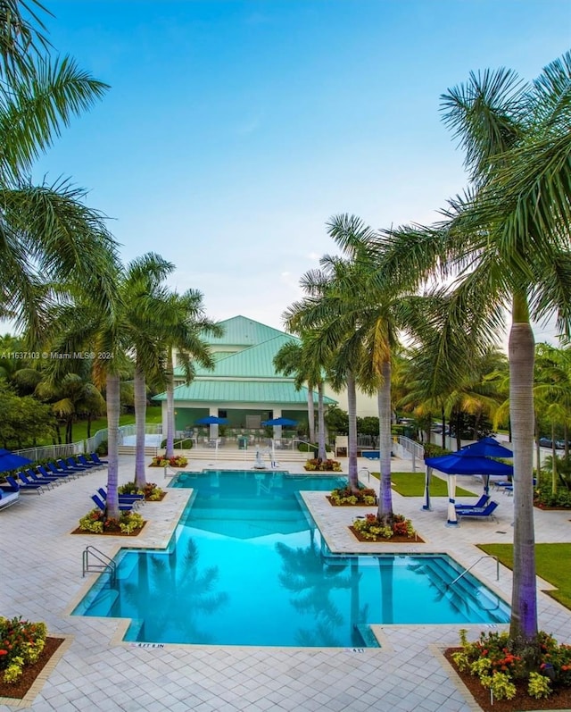 view of swimming pool with a patio area