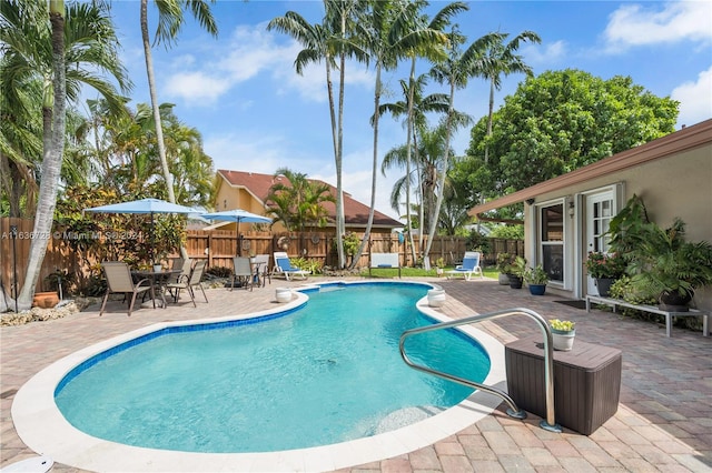 view of swimming pool with a patio