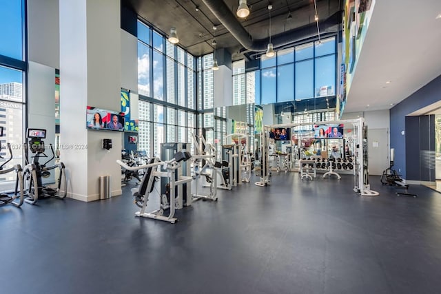 workout area featuring expansive windows, a towering ceiling, and plenty of natural light