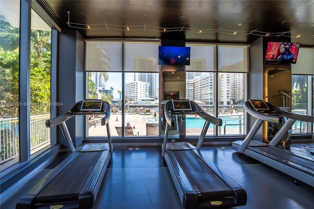 exercise room with a healthy amount of sunlight