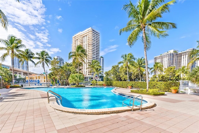 view of swimming pool featuring a patio