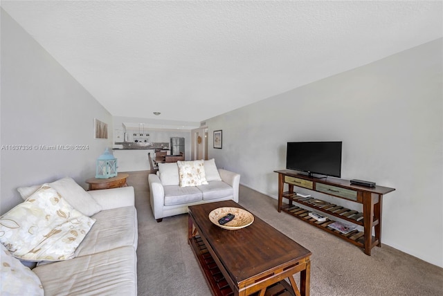 carpeted living room featuring a textured ceiling