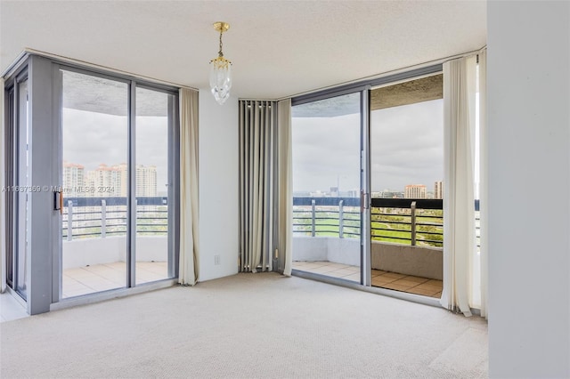 carpeted spare room with floor to ceiling windows