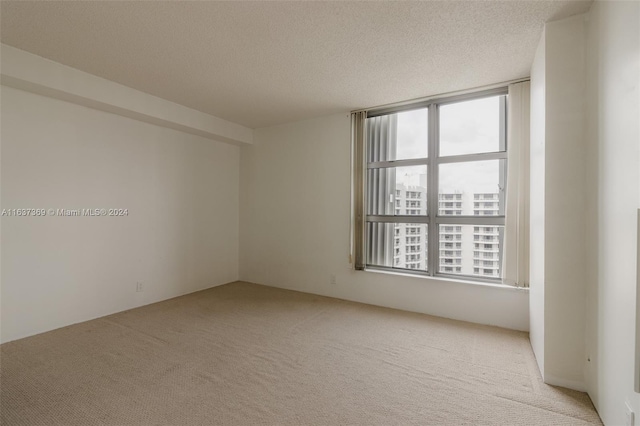 carpeted empty room with a textured ceiling and plenty of natural light