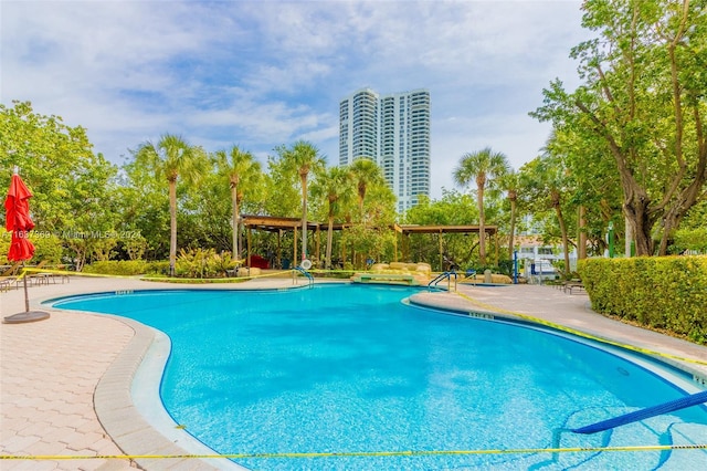 view of pool with a patio