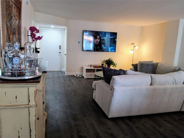 living room featuring dark wood-type flooring