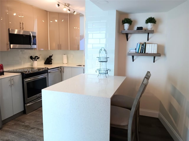 kitchen with track lighting, dark hardwood / wood-style floors, tasteful backsplash, and stainless steel appliances