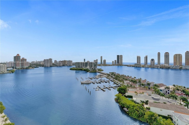 property view of water with a city view