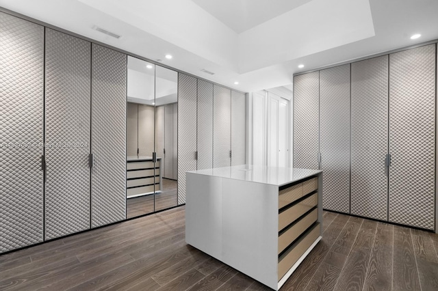 spacious closet with dark hardwood / wood-style flooring